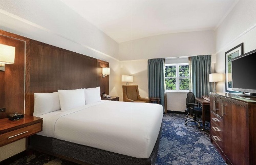 DoubleTree by Hilton Cape Cod - Hyannis image 32